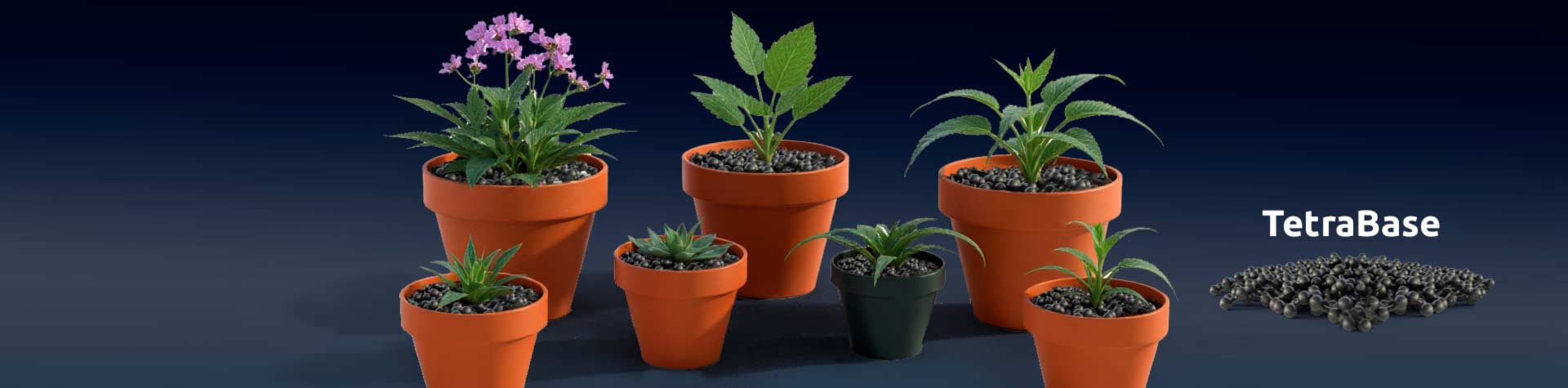 Hydroponic Cannabis Farming