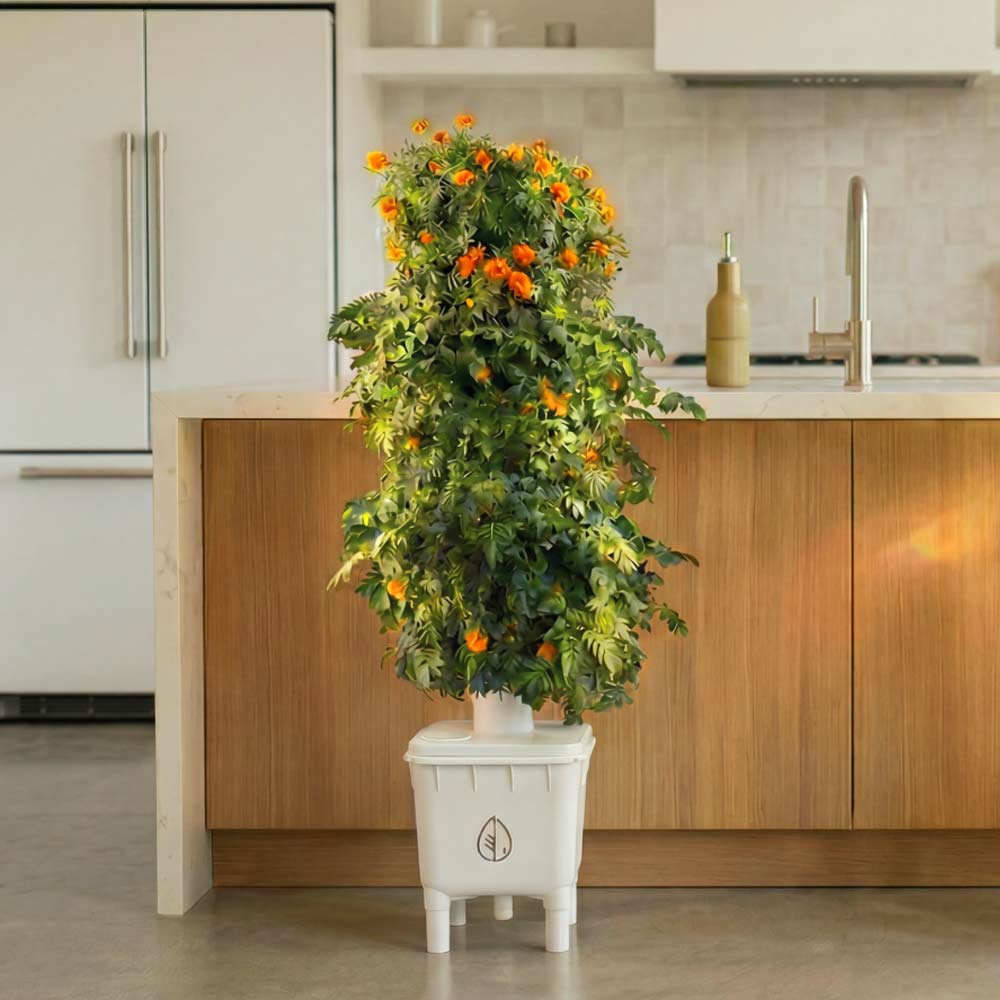 Hydra TOWER 32-Plants - Image 2
